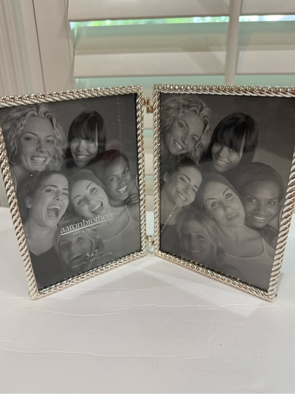 Aaron Brothers Silverplate Rope Border Double Picture Frame 5”x 7” Photos